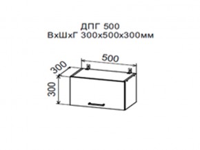 Шкаф верхний ДПГ500 горизонтальный в Березниках - berezniki.магазин96.com | фото